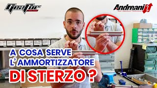 A cosa serve lammortizzatore di sterzo  Andreani Group International [upl. by Leeban]