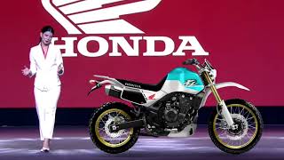 2025 NEW HONDA XL 350 T LAUNCHED IMMEDIATELY NEW CHALLENGER OF RE HIMALAYAN [upl. by Duntson553]