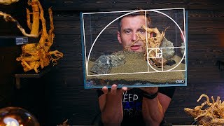 AQUARIUM LAYOUT TUTORIAL FOR BEGINNERS  IS MY HARDSCAPE GOOD ENOUGH [upl. by Ennalyrehc755]