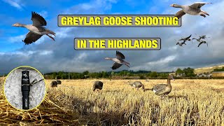 Decoying Geese  Greylag Goose Shooting In The Highlands Of Scotland [upl. by Leidag427]