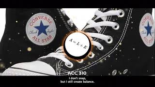 Converse Song  ACC 310 Career Project [upl. by Prouty635]