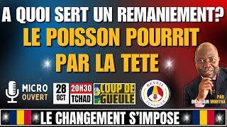 A QUOI SERT UN REMANIEMENT MINISTERIEL AU TCHAD QUAND ON SAIT QUE LE POISSON POURRIT PAR LA TETE [upl. by Latty]