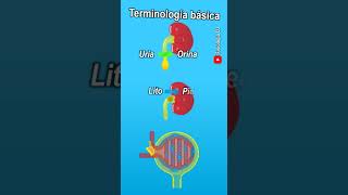 Terminología médica  Terminología de enfermería  Terminología de ciencias de la salud [upl. by Ahsitul]