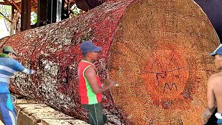 Sawing the Most Beautiful Pine Wood That Has No Match in the World  SAWMILL [upl. by Gayner]