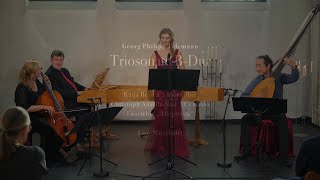 Telemann Triosonate BDur für Blockflöte Cembalo und Bcfor recorder harpsichord and bc LIVE [upl. by Leviralc]