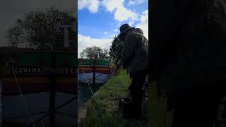 Pike Fishing on the River Hull  Tribute to River Hull Rex fishing shorts shortsvideo [upl. by Dewey858]