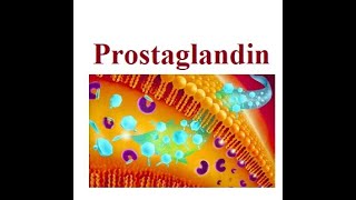 Prostaglandin structure and functions  2024 [upl. by Steck2]