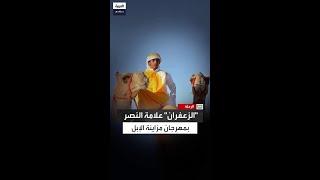 لماذا يُستخدم quotالزعفرانquot كدلالة على النصر في احتفالات الفائزين بمهرجان مزاينة الإبل بسلطنة عُمان؟ [upl. by Danete]