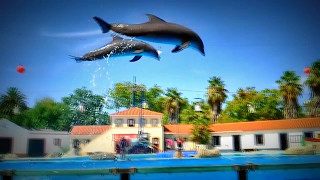 Baia dos golfinhos  Zoo Lisboa HD Dolphins [upl. by Leamsi]