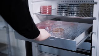 Medical refrigerators amp laboratory freezers  Vestfrost [upl. by Younglove]