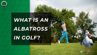 What is an Albatross in Golf  Rarest Feat in Golf [upl. by Ycart587]