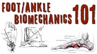 FootAnkle Biomechanics 101 [upl. by Ahsratan299]