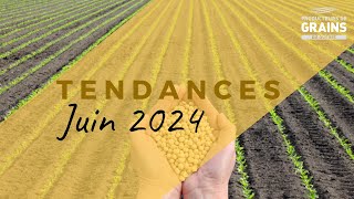 Tendances des prix du marché des grains  Juin 2024 [upl. by Annodam]