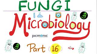 Fungi Microbiology  Histoplasmosis Blastomycosis Coccidioidomycosis Paracoccidioidomicosis 16 [upl. by Nylimaj]