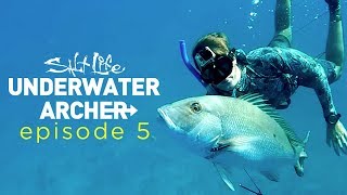 Underwater Archer Ep 5  Bahamas  Salt Life [upl. by Ripleigh]