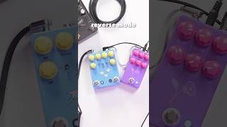 Reverse mode on the Flight Delay delaypedal reversedelay [upl. by Ettesel726]