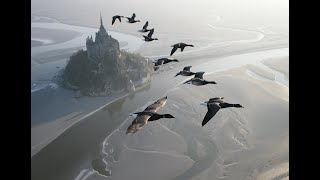 Amazing flights with birds on board of a microlight Christian Moullec avec ses oiseaux [upl. by Toms]