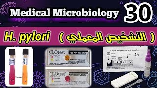 Helicobacter pylori H pylori شرح التشخيص المعملي لجرثومه المعده [upl. by Helbonna899]