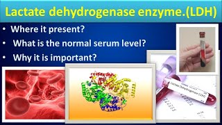 Lactate Dehydrogenase biochemistry LDHmedilabacademyCBC [upl. by Giusto334]