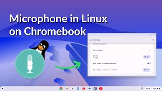 How to Enable the Microphone in Linux on a Chromebook [upl. by Ole]