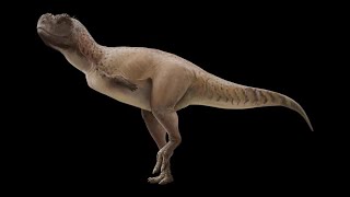 New dinosaur species identified in Brazil [upl. by Kauppi]