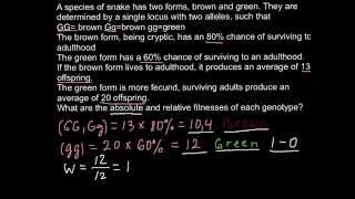 Genetics how to find absolute and relative fitness [upl. by Silin]