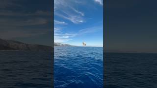 SAILING IN GREECE travel sailing vlog adventure greece kefalloina ithaca [upl. by Ocirderf755]