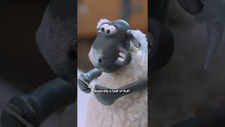 Shaun the Sheep x Barbour 2024  Live Action shaunthesheep behindthescene barbourchristmas [upl. by Ahset]