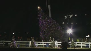 White House Christmas tree falls over [upl. by Sauer215]