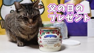 父の日のプレゼントをもらいました🍪 ガーちゃんゴマちゃんにクンクンチェックしてもらおう 【ロイヤルダンスク ホワイトチョコレート＆ラズベリークッキー】 [upl. by Vigor767]