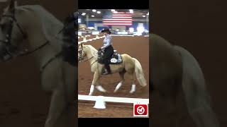 Western Dressage World Show 2022 [upl. by Tessi923]