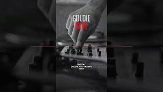 Goldie ft KRS ONE  Digital 🎛️ [upl. by Dylane]