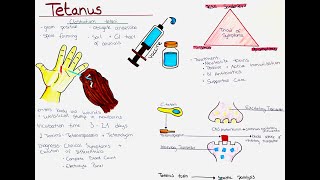 Tetanus Clostridium tetani  Microbio Symptoms Diagnosis Treatment Prevention etc [upl. by Nauqyt599]