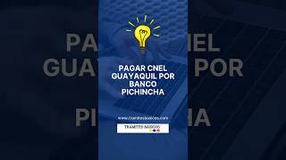 ¿Cómo pagar la luz en Guayaquil por Banco Pichincha [upl. by Ahsinid]