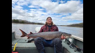 2024 Sturgeon fishing highlights [upl. by Gaskin510]