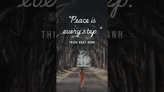 quotPeace Is Every Stepquot 🌿  Thich Nhat Hanh ThichNhatHanh Mindfulness PeaceIsEveryStep [upl. by Erine488]