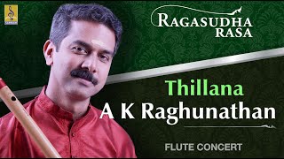 Thillana  a flute concert by AKRaghunathan  Ragasudharasa [upl. by Oirevas]