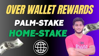 Over Wallet New Update Testnet Rewards  Over Wallet Palm Staking  Home Staking [upl. by Cirda]