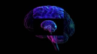 The Power of a human BRAIN  Human brain TechFactsStudioOfficial [upl. by Aznarepse]