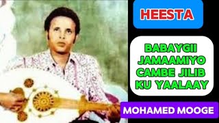 Maxamed Mooge Liibaan  Heesta Babaygii Jamaamiyo Cambe Jilib ku yaalaay [upl. by Nalla]