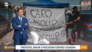 Le proteste dei pescatori  Unomattina  28022024 [upl. by Aaronson926]