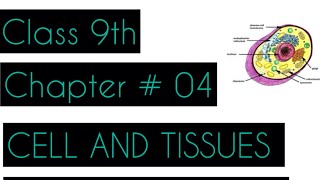 Microscopy and emergence of cell  Class 9th  Biology  Chapter  04 [upl. by Tham44]