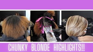 📌How To Do Chunky Light Blonde Highlights on Dark Natural Hair  💧Why Porosity Matters [upl. by Sylvanus]