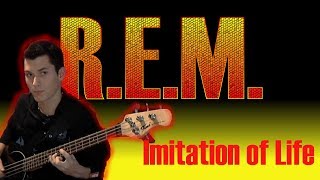 REM  Imitation of Life Bass Arrangement [upl. by Airat]