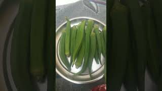 Lady finger healthyfood in shortvideo [upl. by Lahcar]