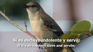 National Anthem of the Dominican Republic  quot¡Quisqueyanos Valientesquot [upl. by Eiramnerual]