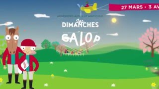 Les Dimanches au Galop 2016  plongez au coeur de lenquête [upl. by Ffej]