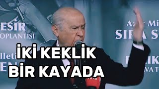 Devlet Bahçeli iki keklik bir kayada [upl. by Debbra]