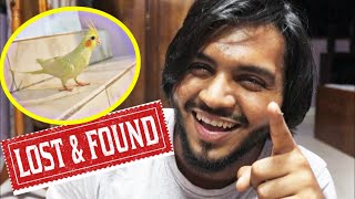 হারিয়ে আবার খুঁজে পেয়েছি  Lost and Found Cockatiel Bird  Bangladesh [upl. by Onida]