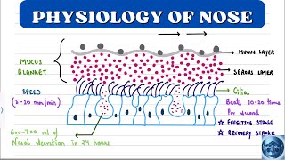 ENT 🔥 II PHYSIOLOGY OF NOSE II MUCOCILIARY MECHANISM II NASAL REFLEXES II OLFACTION II [upl. by Nwahsyd]